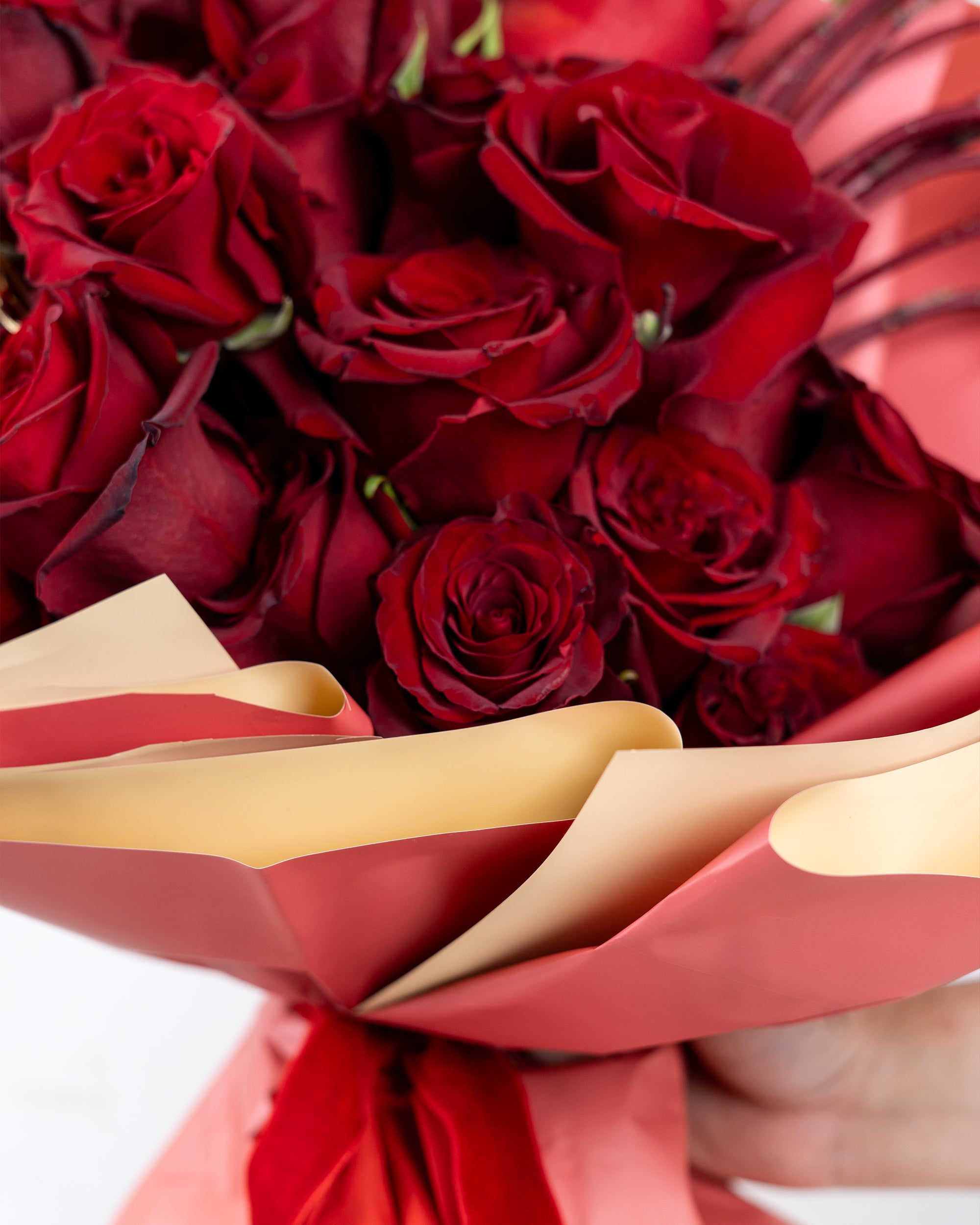 golden-heart_4
