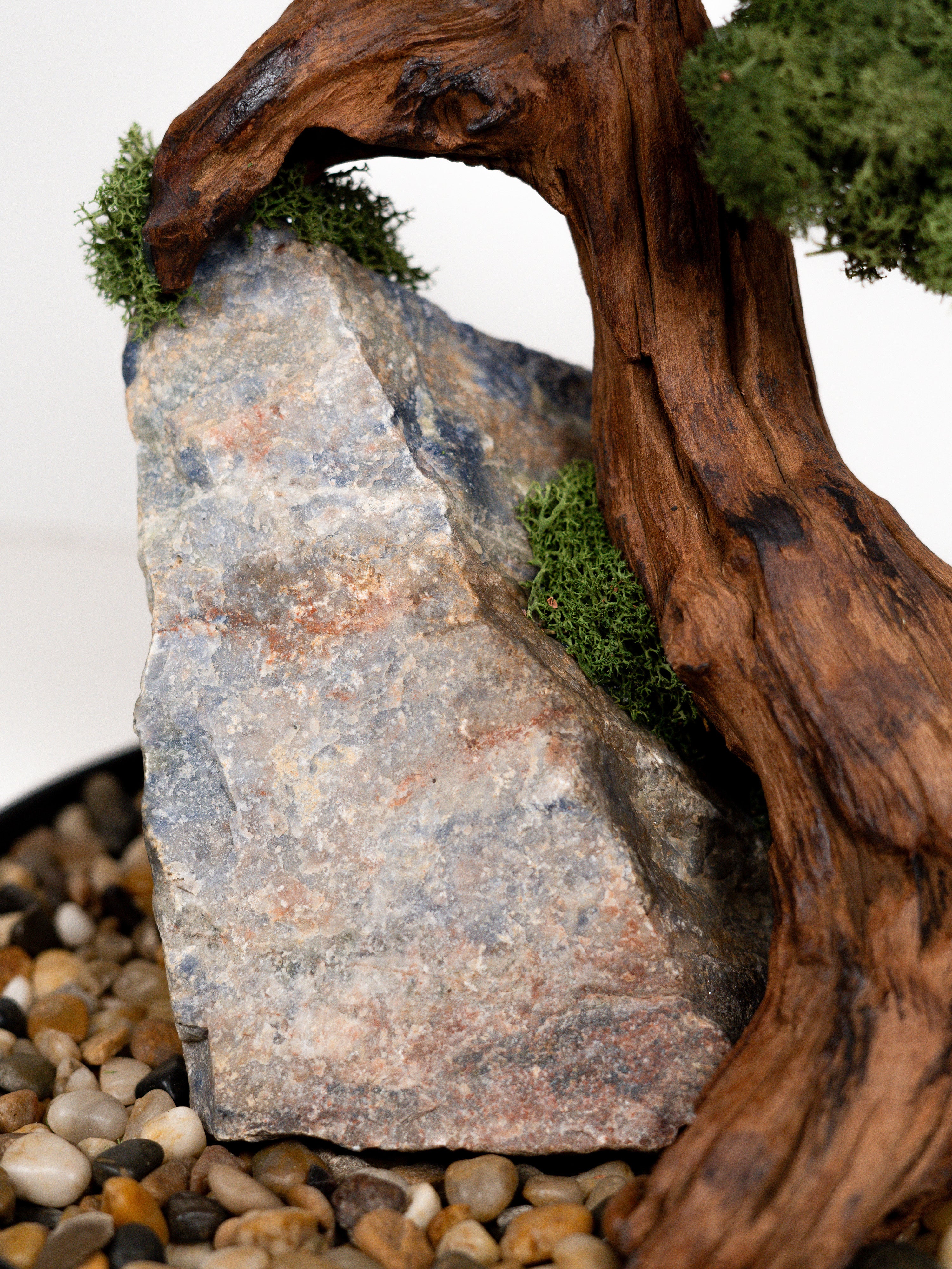 grove-roots_5