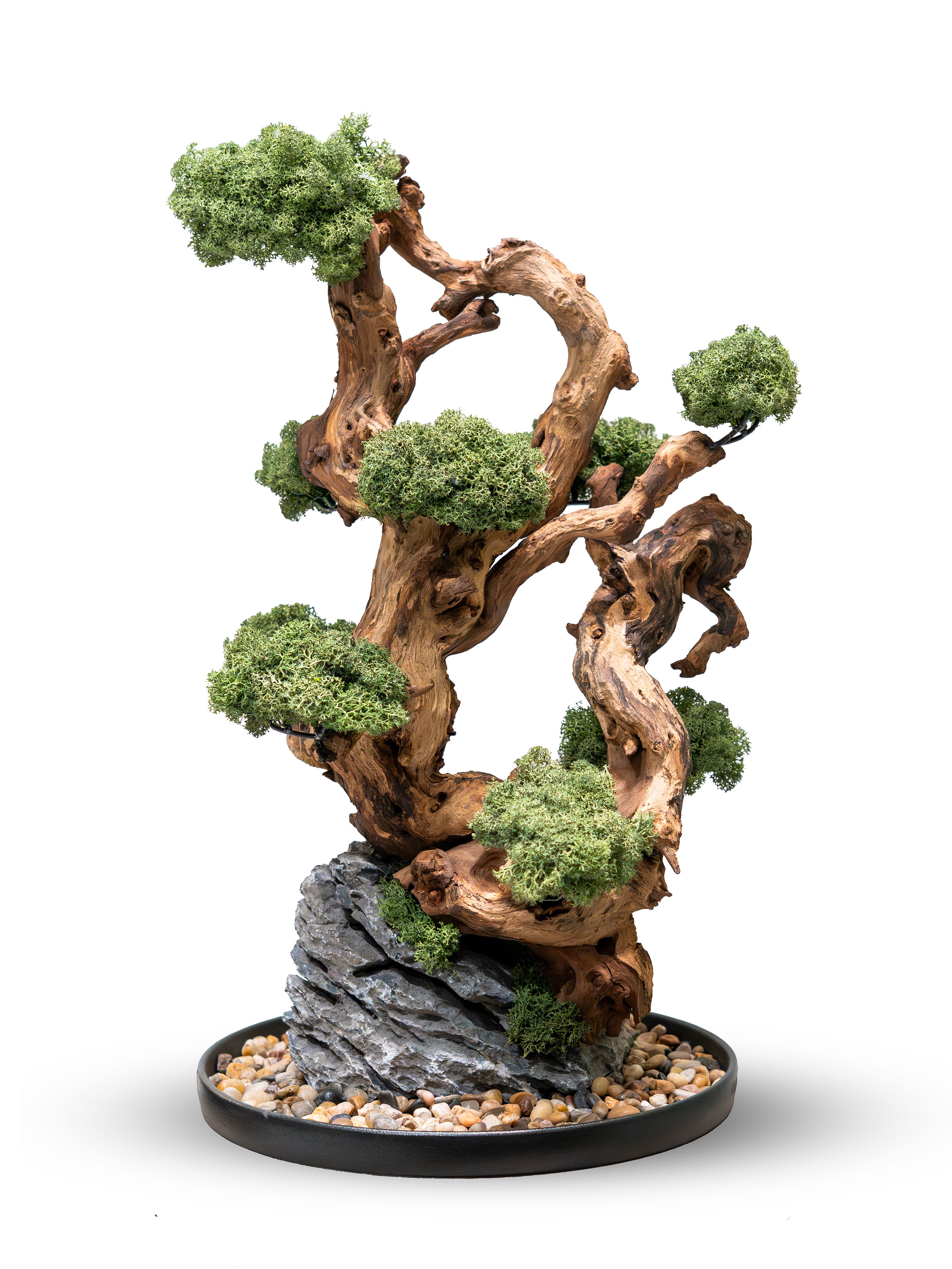 grove_1