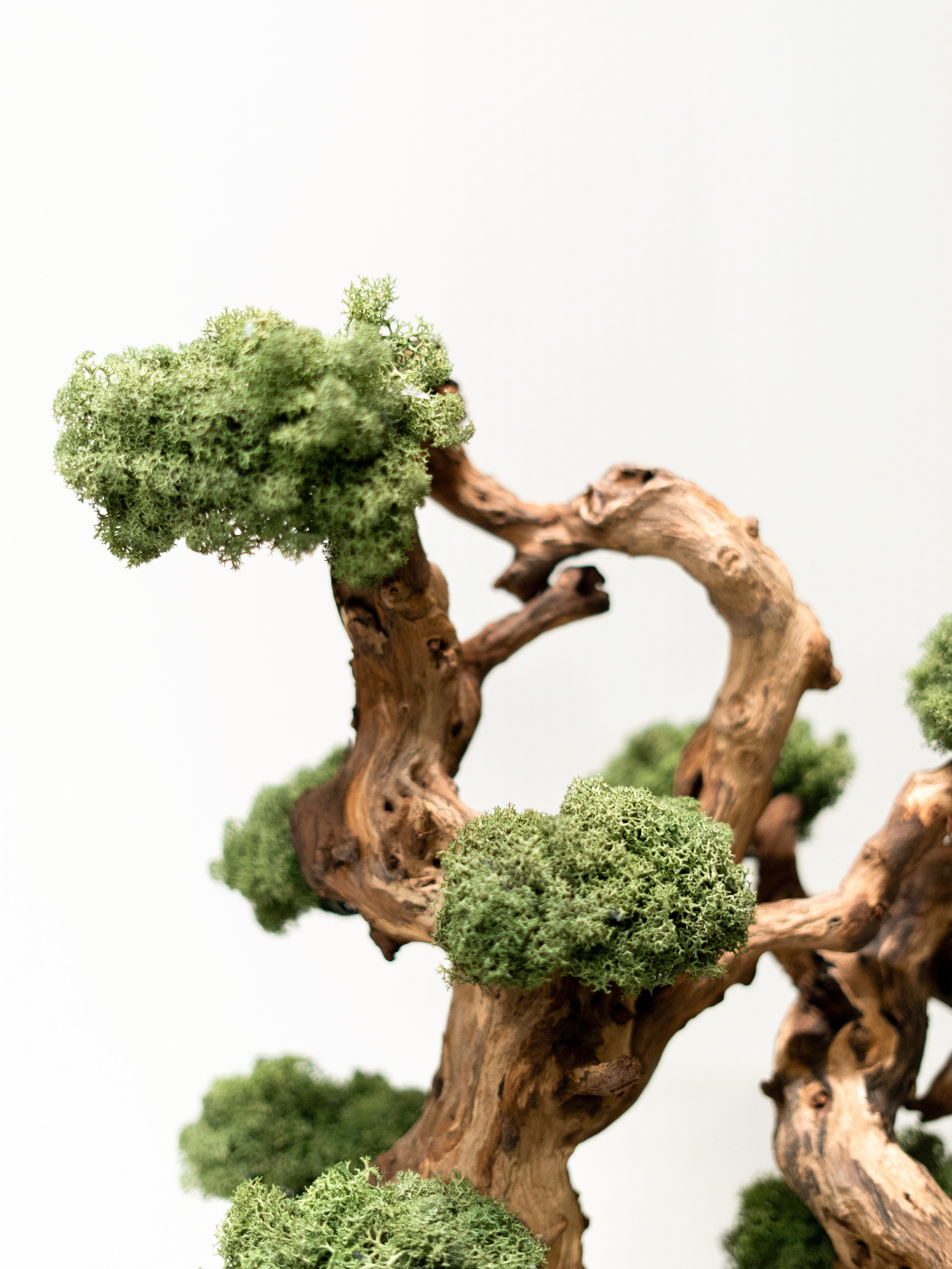 grove_2