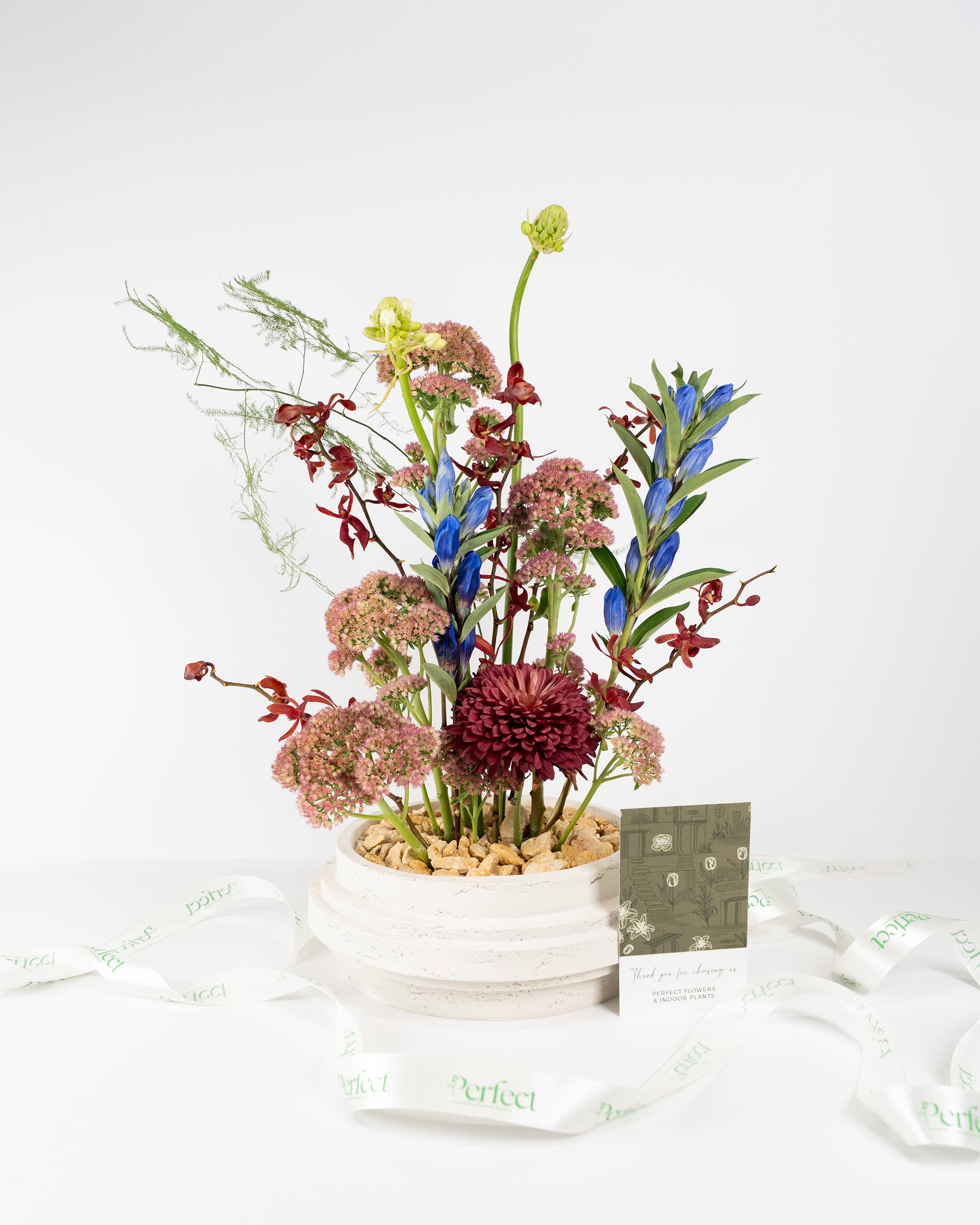 Iki Blooms