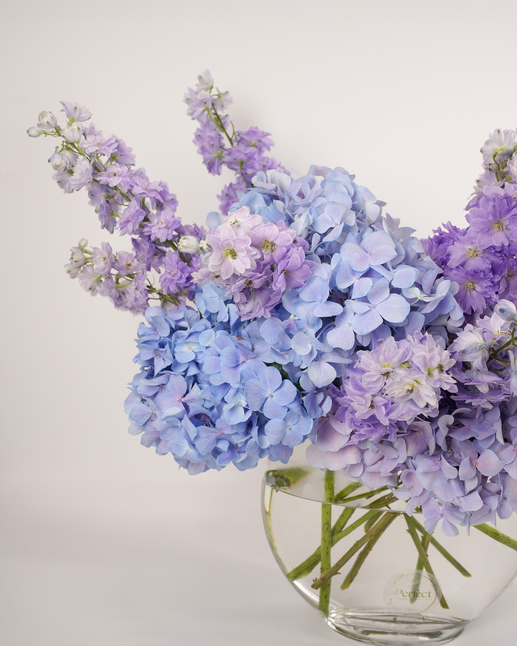 lilac-serenade_4