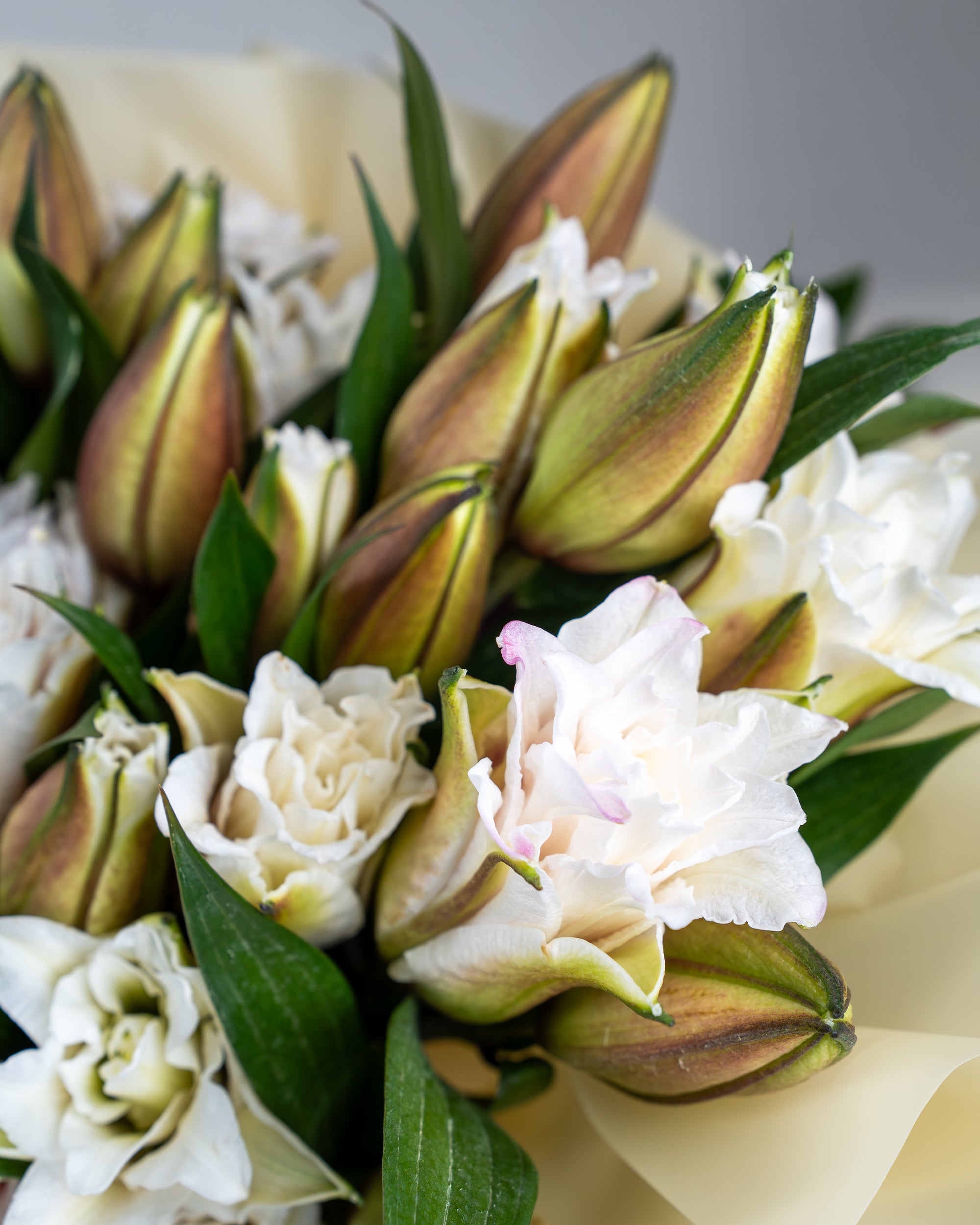 lilyland_3