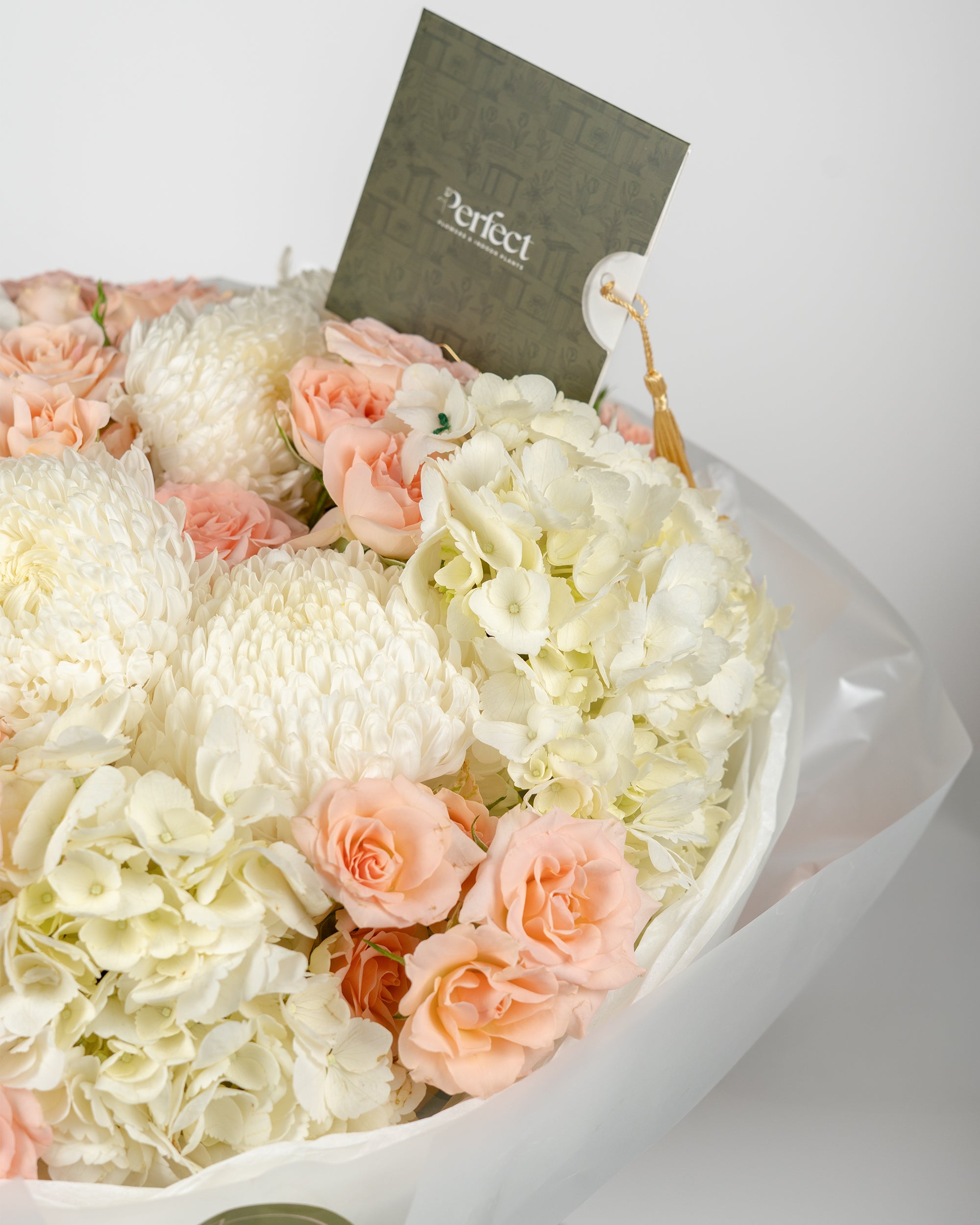 mama-bloom_3