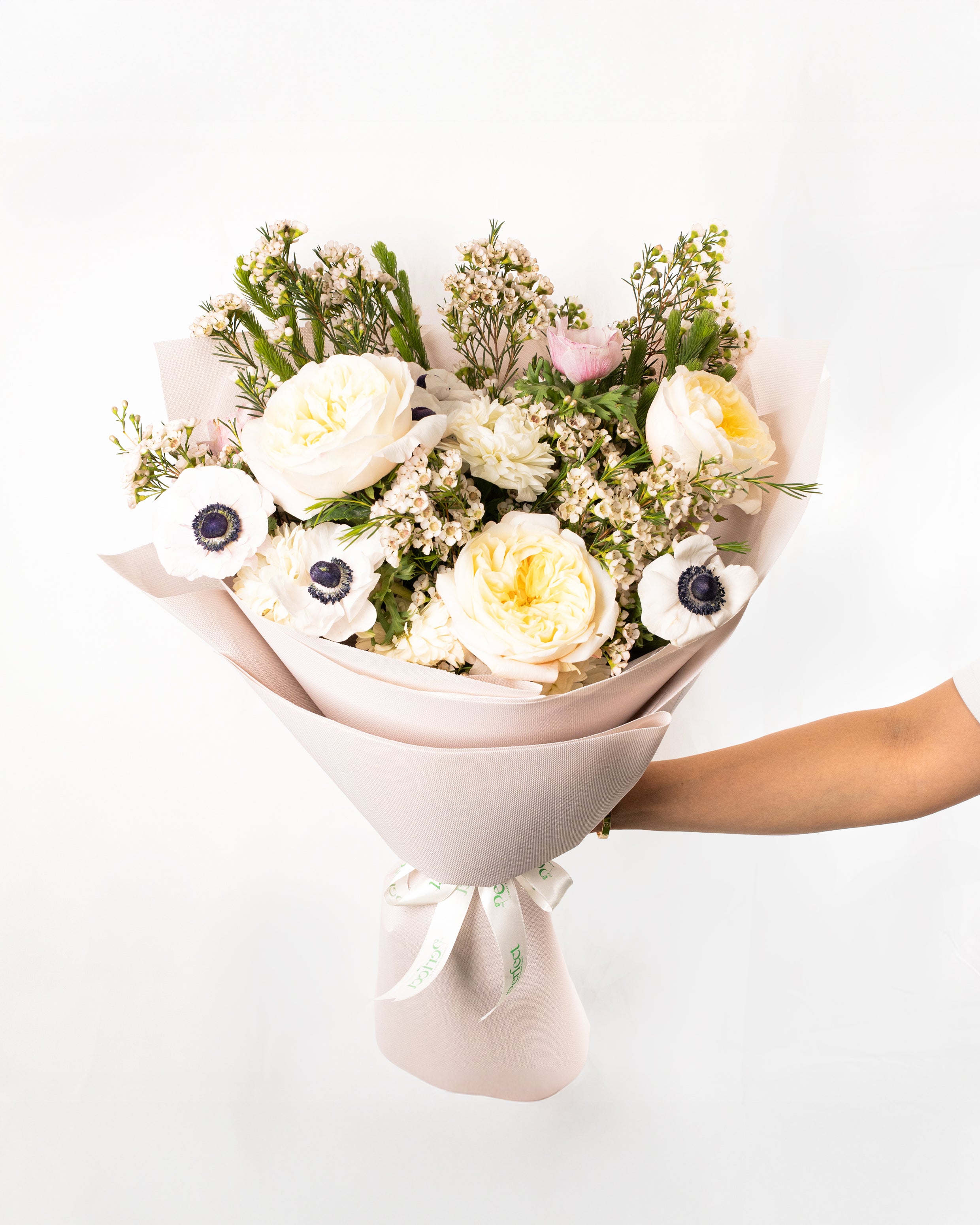 mix-anemones