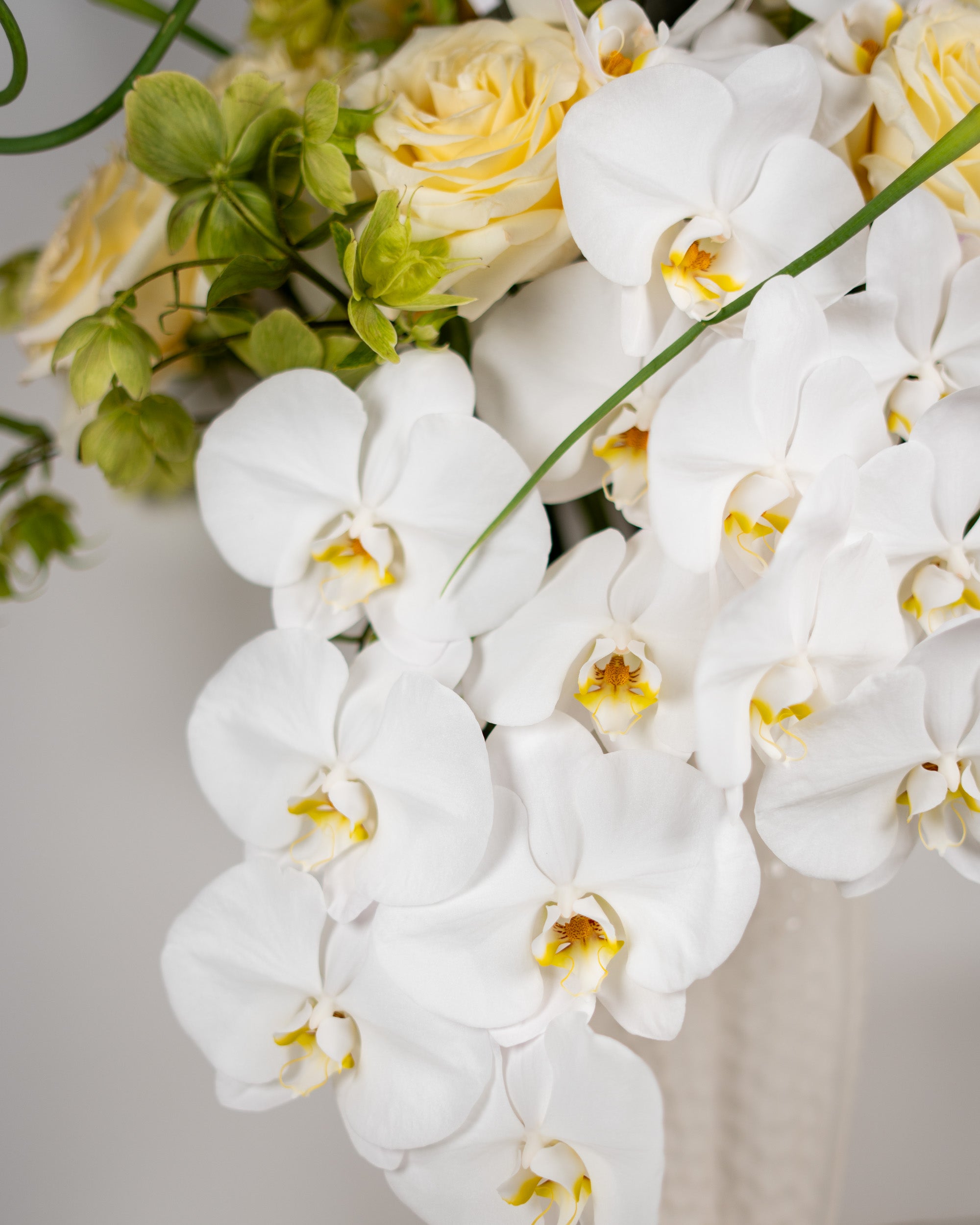 perfect-luxury_4