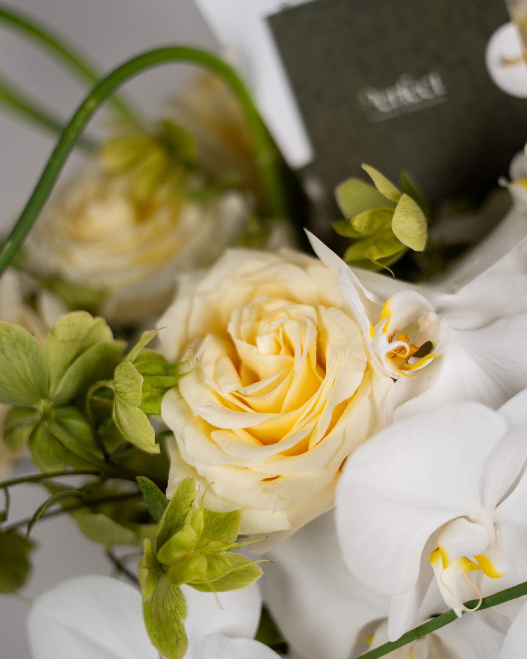 perfect-luxury_5