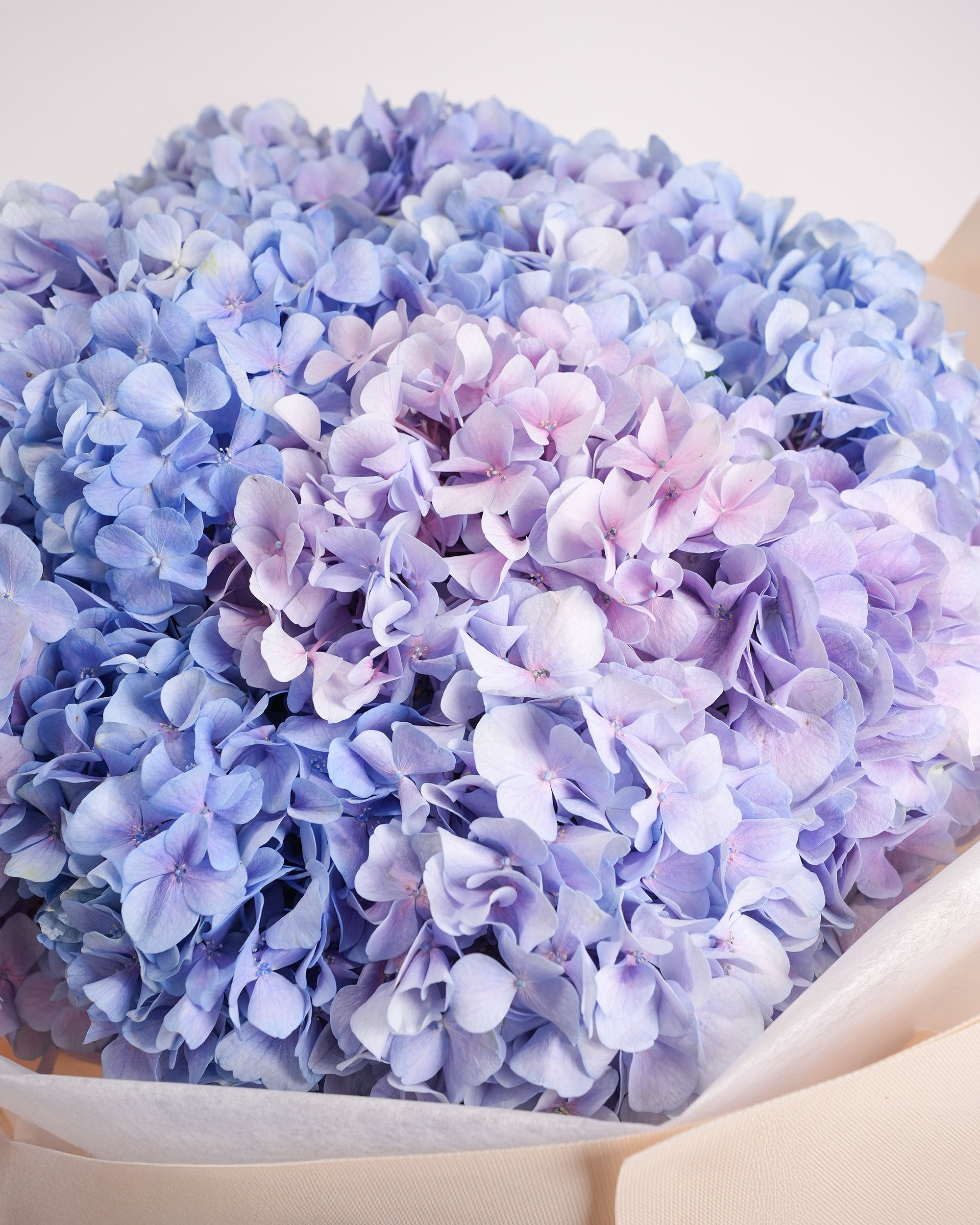 purple-clouds_4