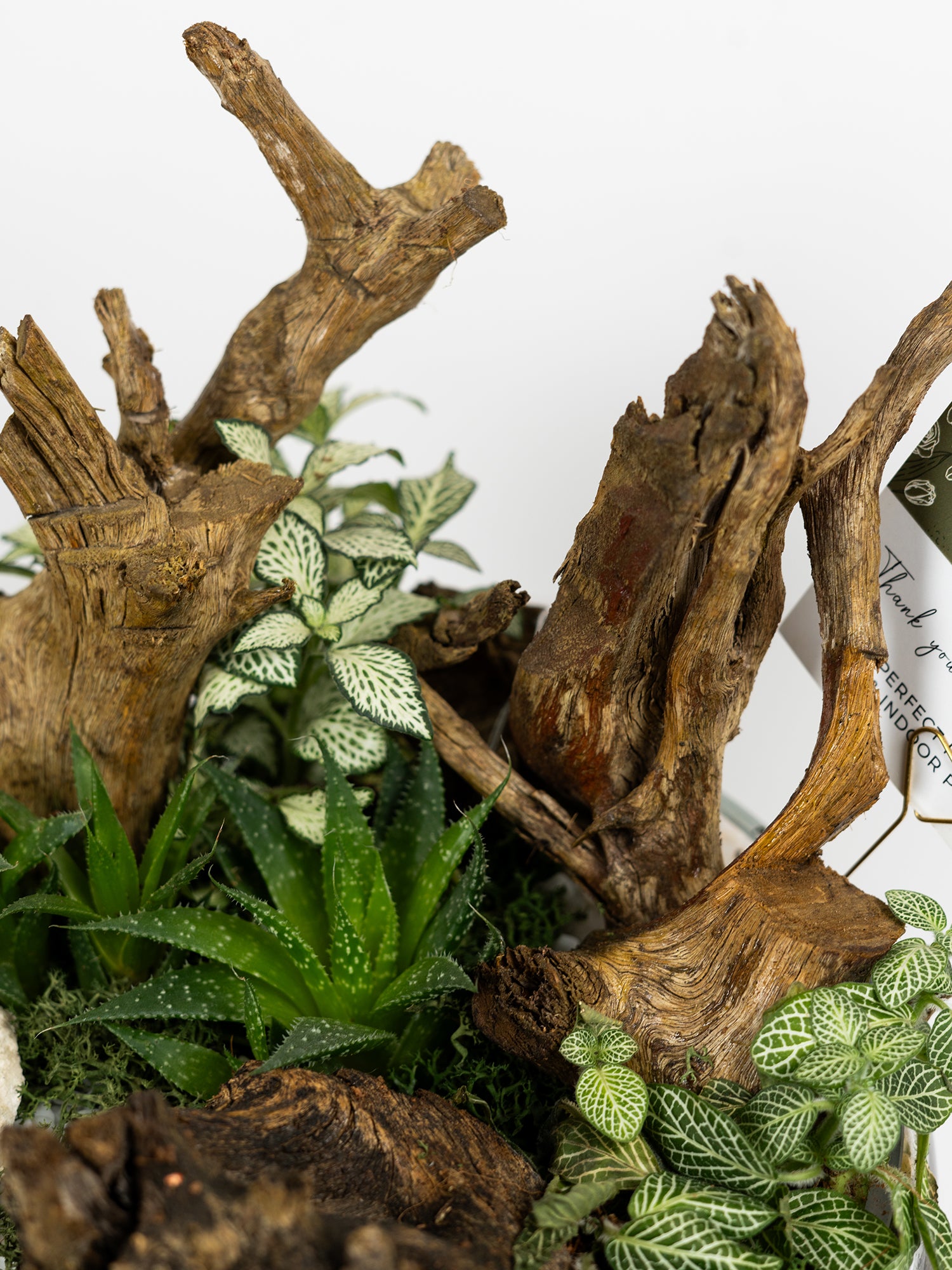 rustic-garden_5