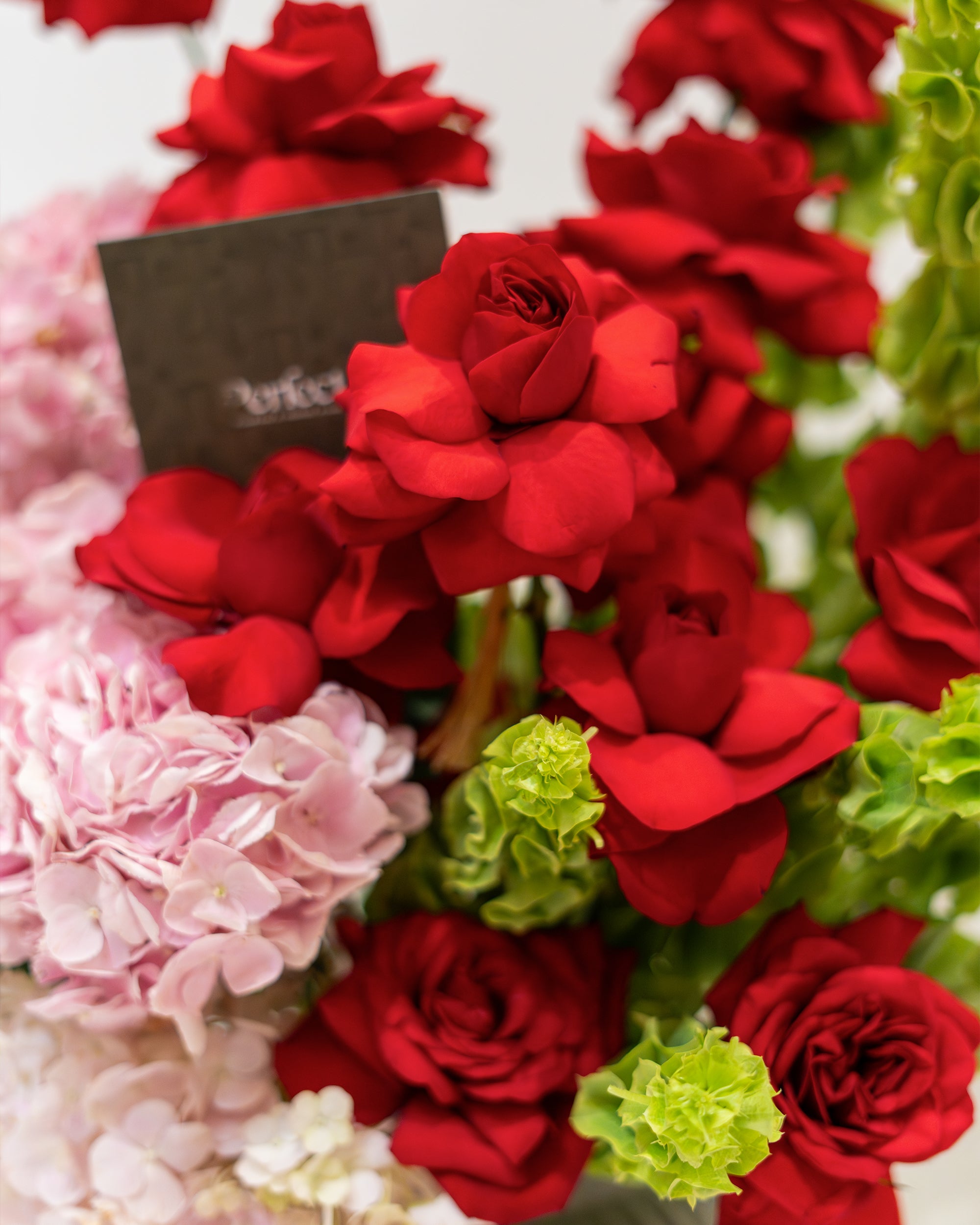 scarlet-love_3