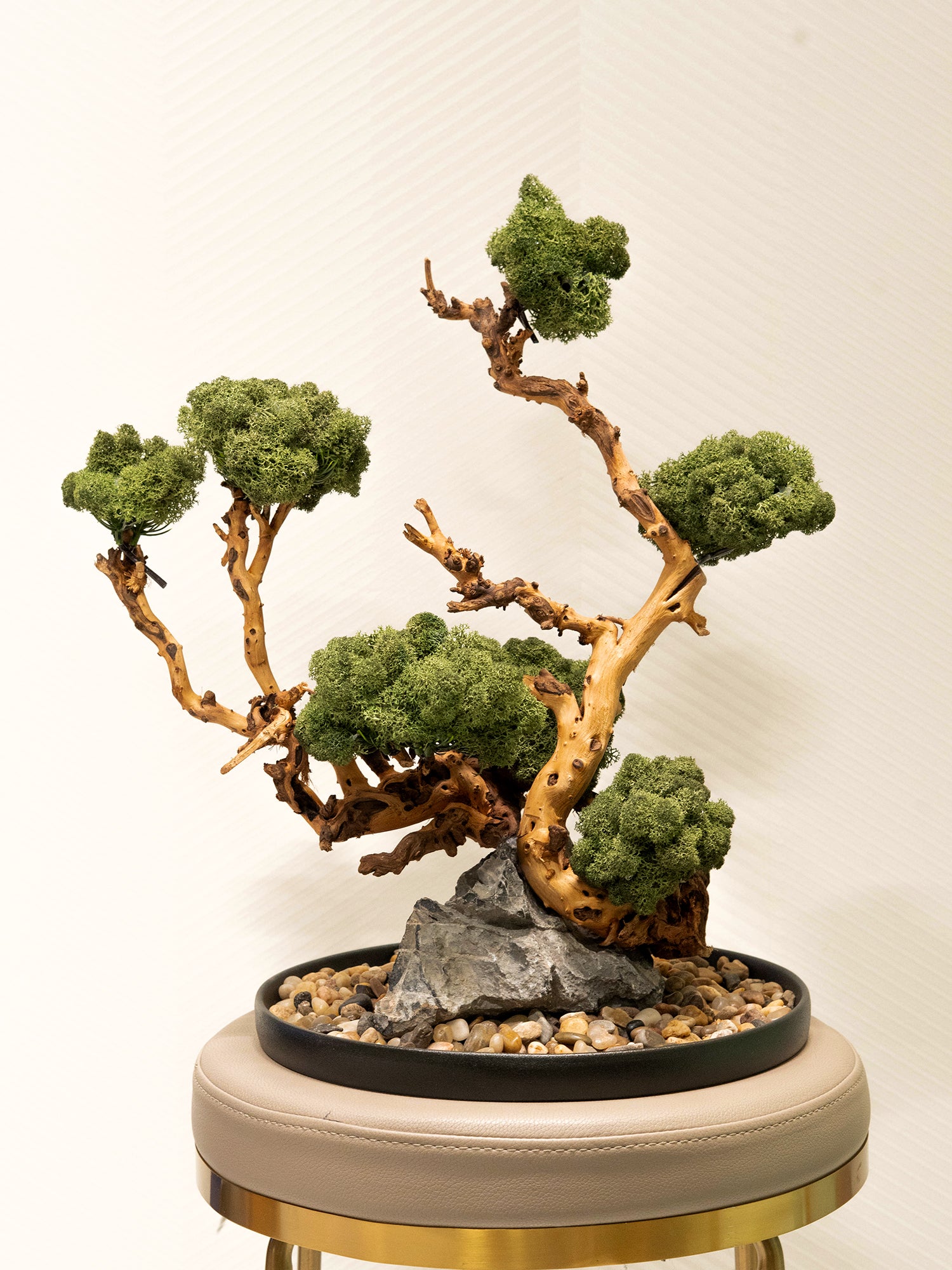 Signature Bonsai Tree