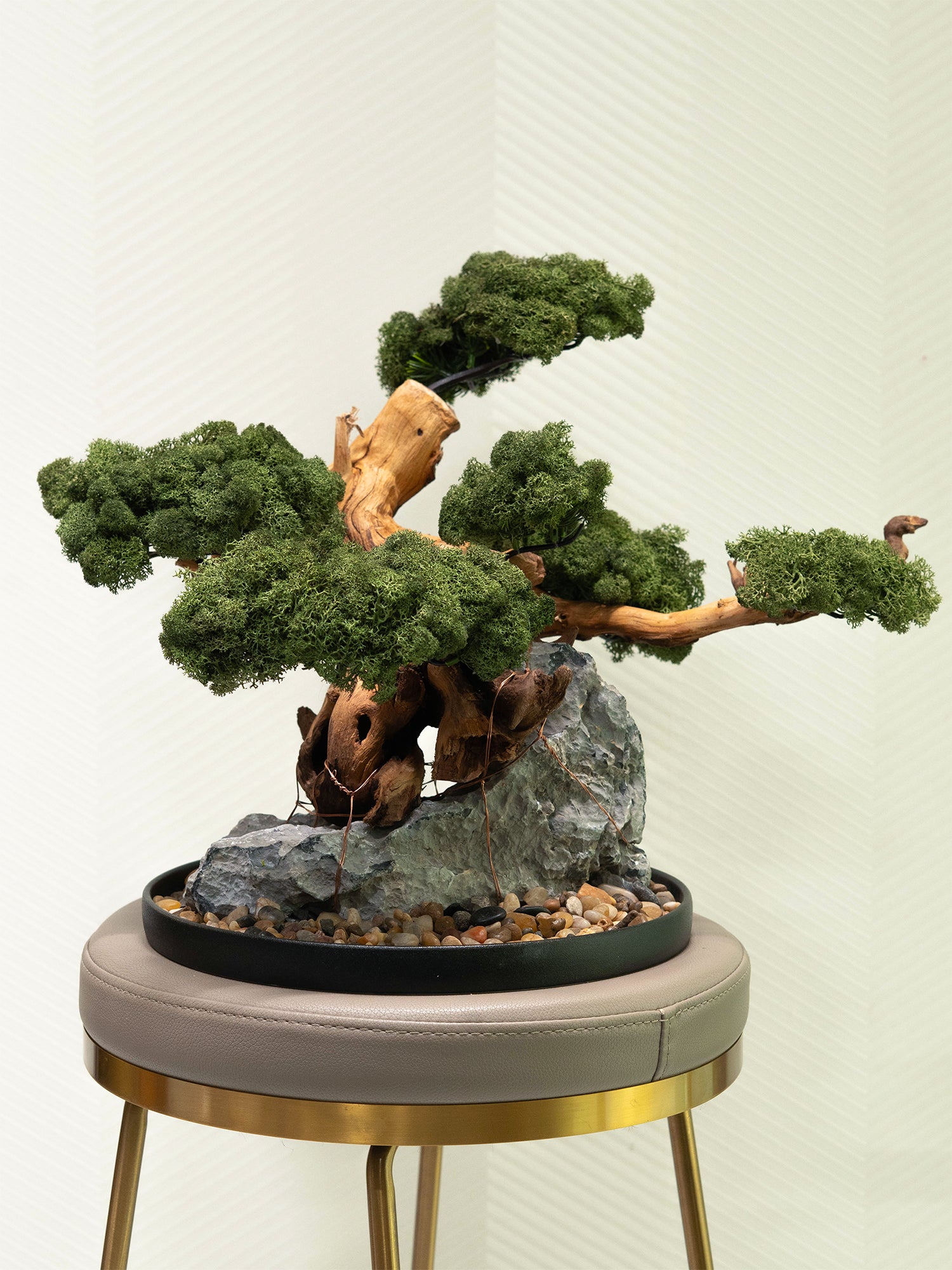 The Art of Bonsai