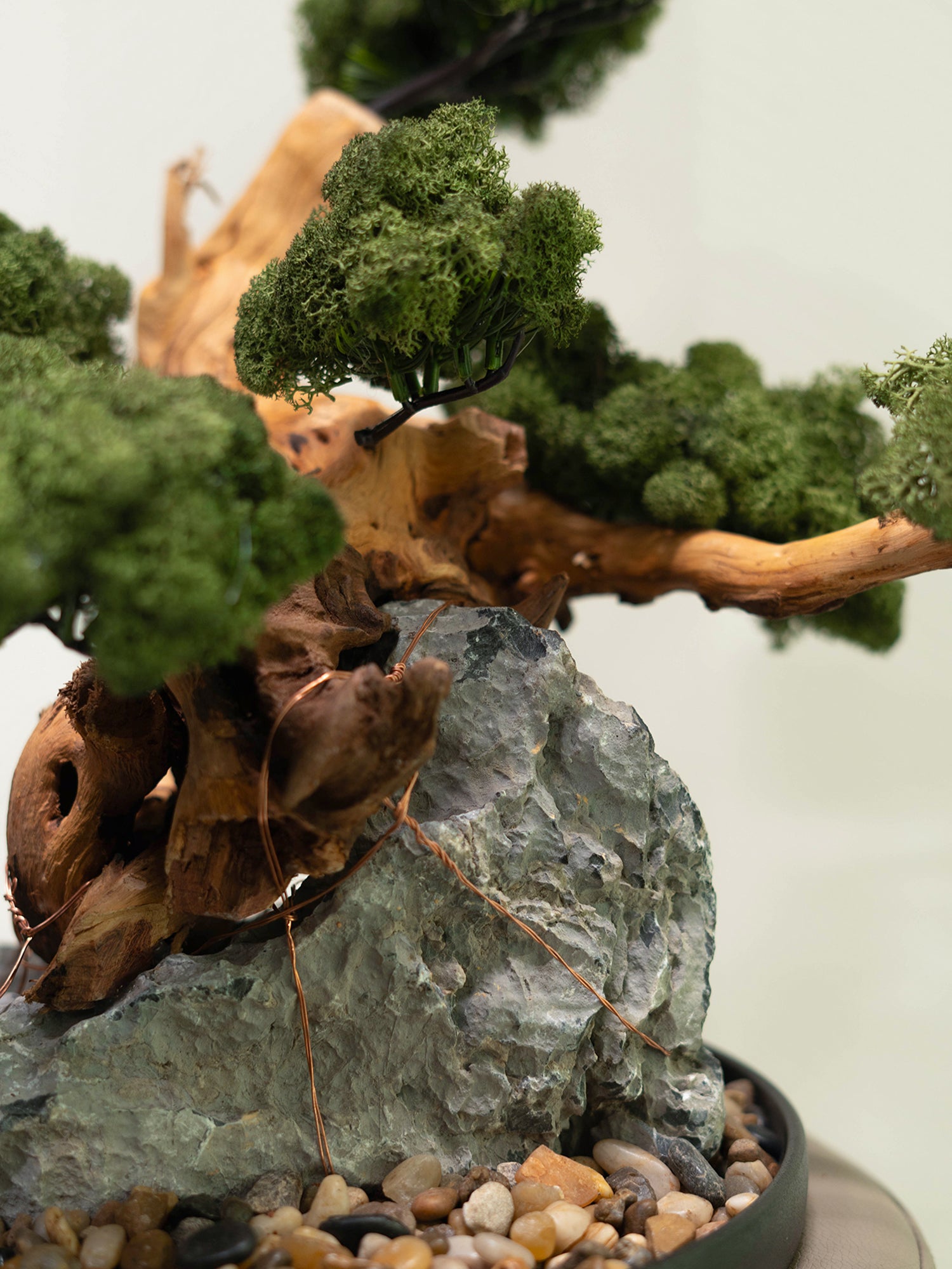 The Art of Bonsai
