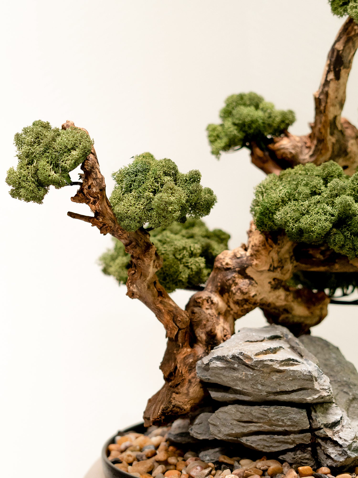 The Bonsai Atelier