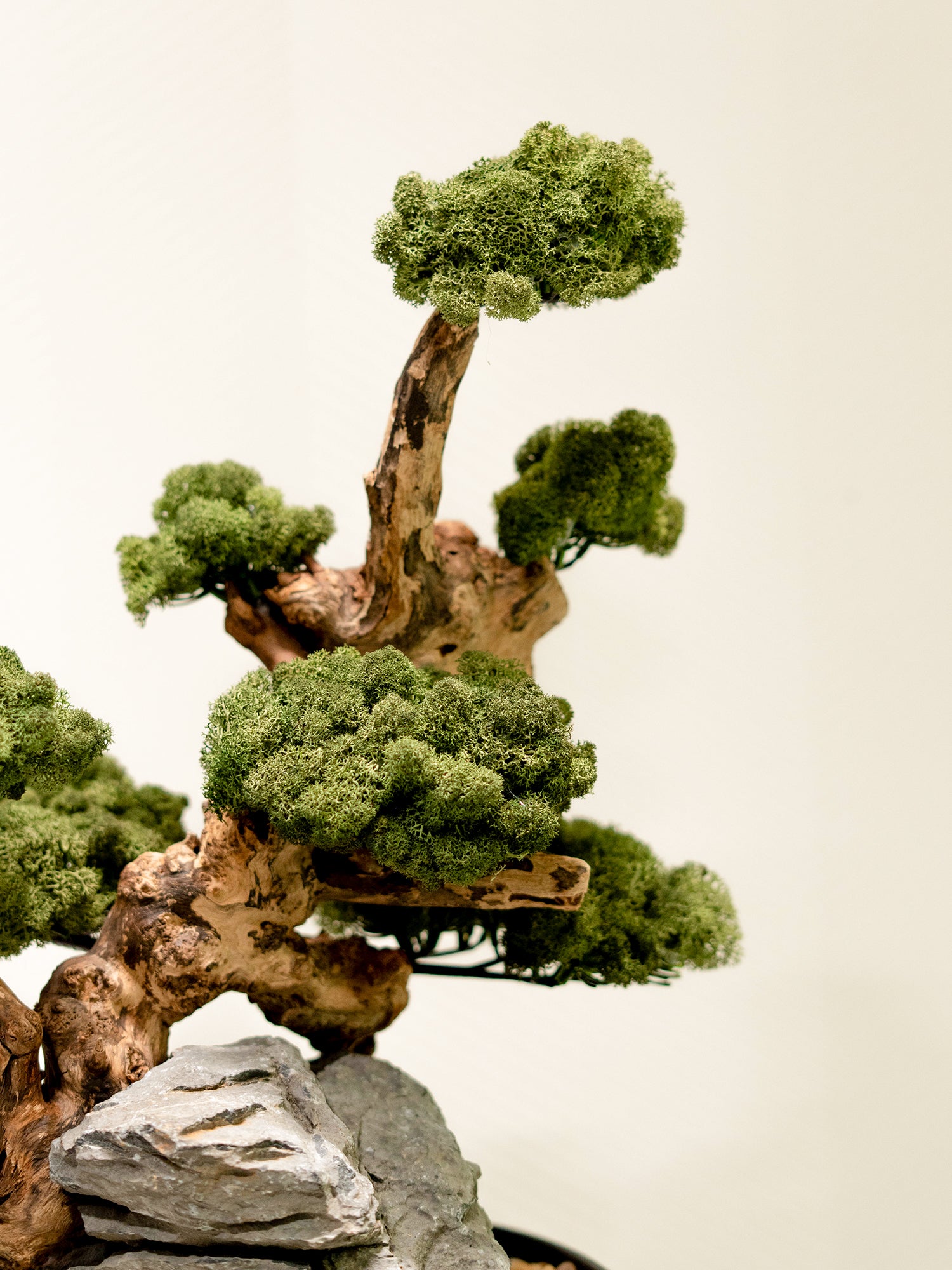 The Bonsai Atelier