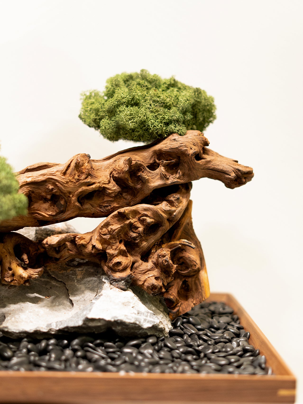 the-curated-tree_3