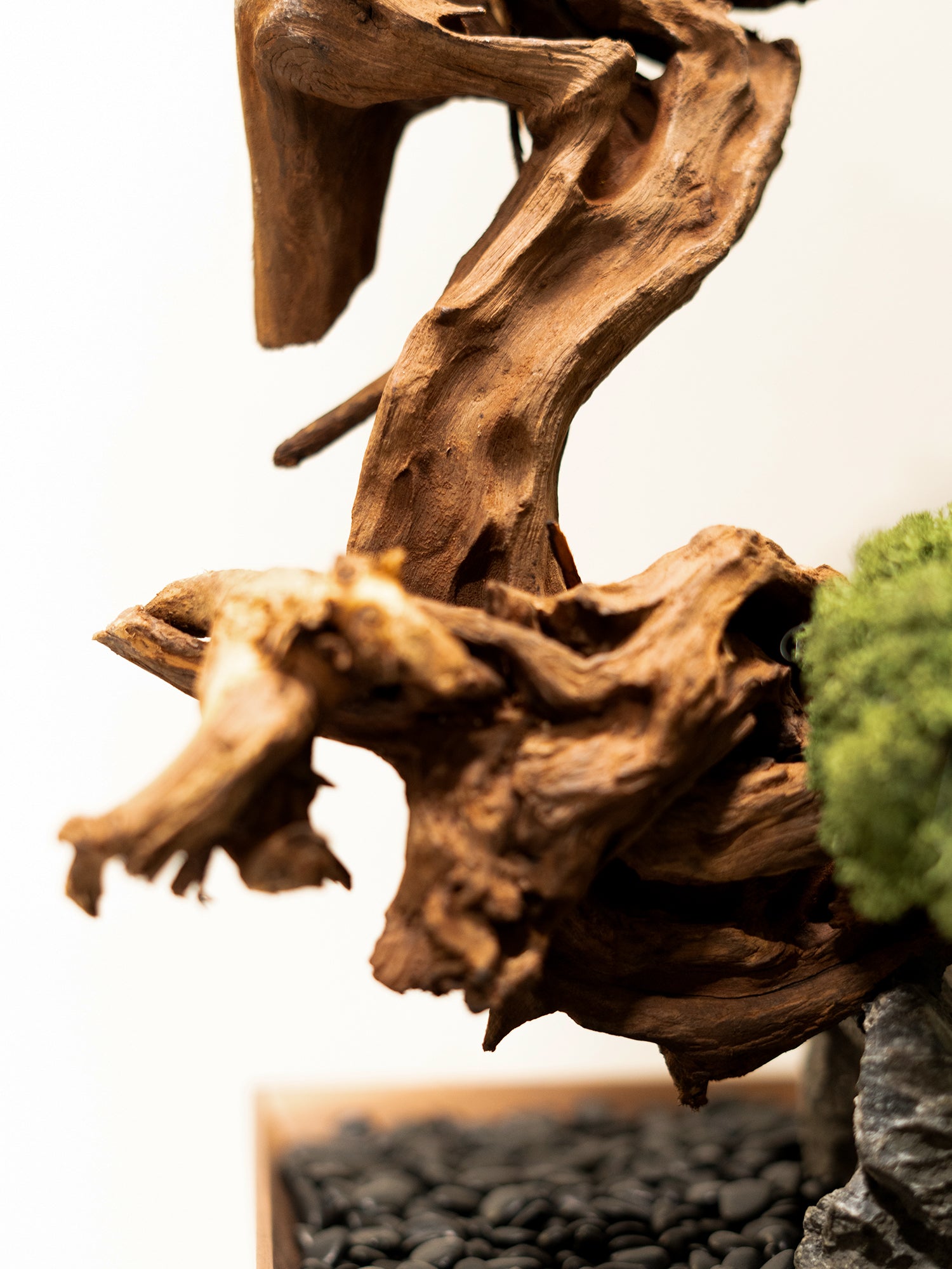 the-curated-tree_6