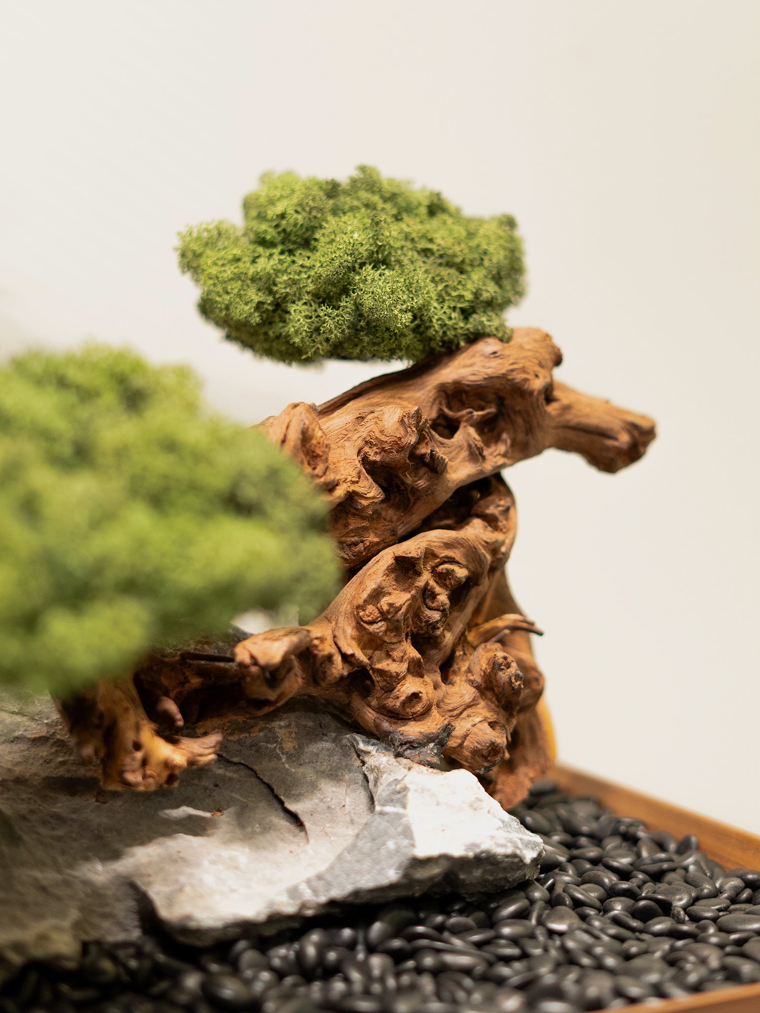 the-curated-tree_7