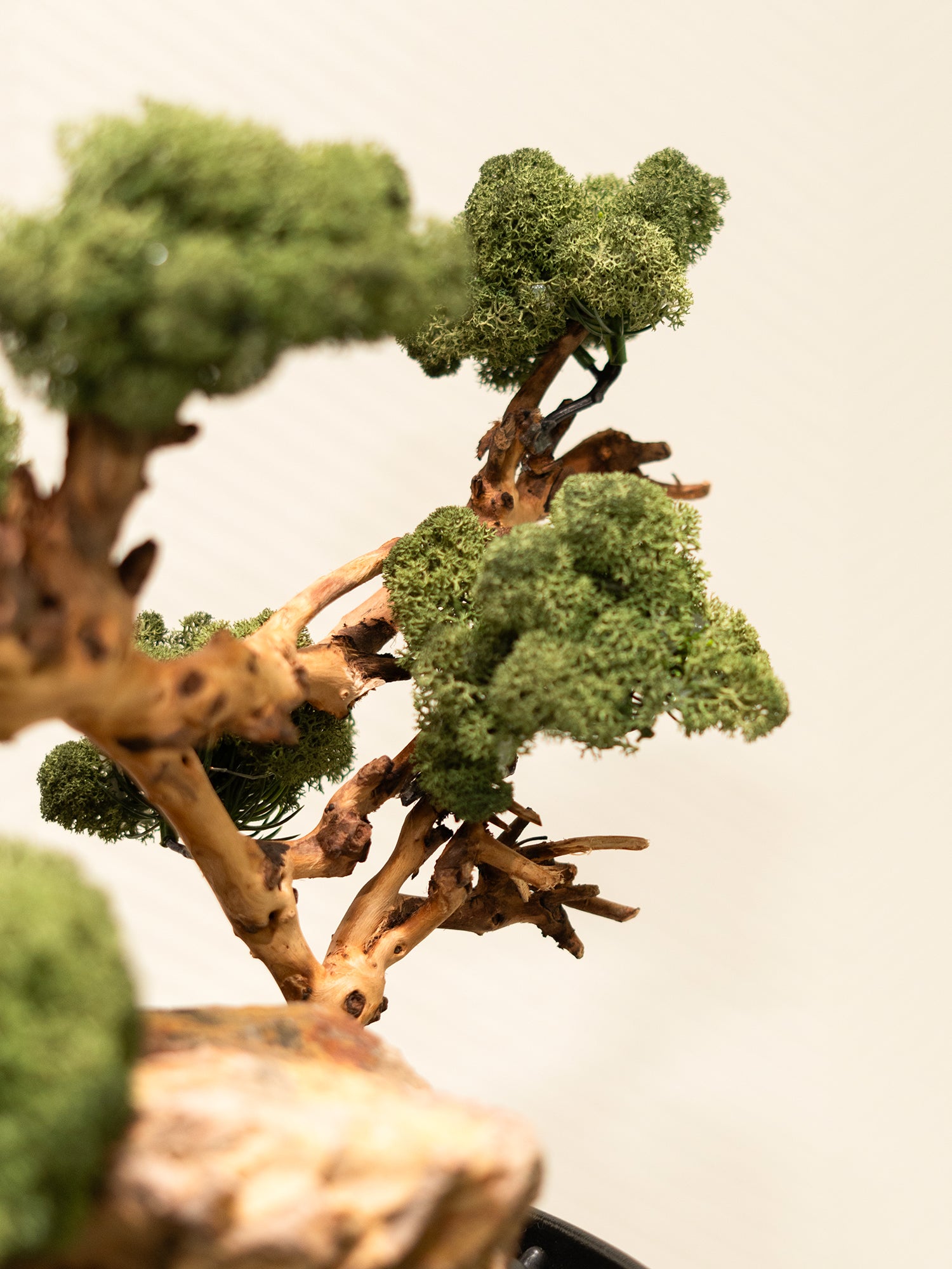 The Living Sculpture