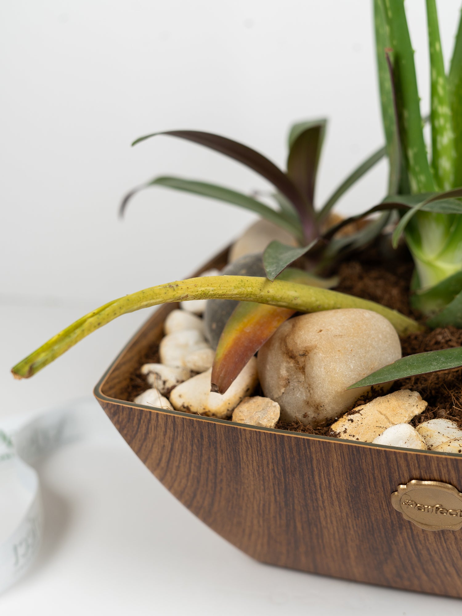 timber-garden_3