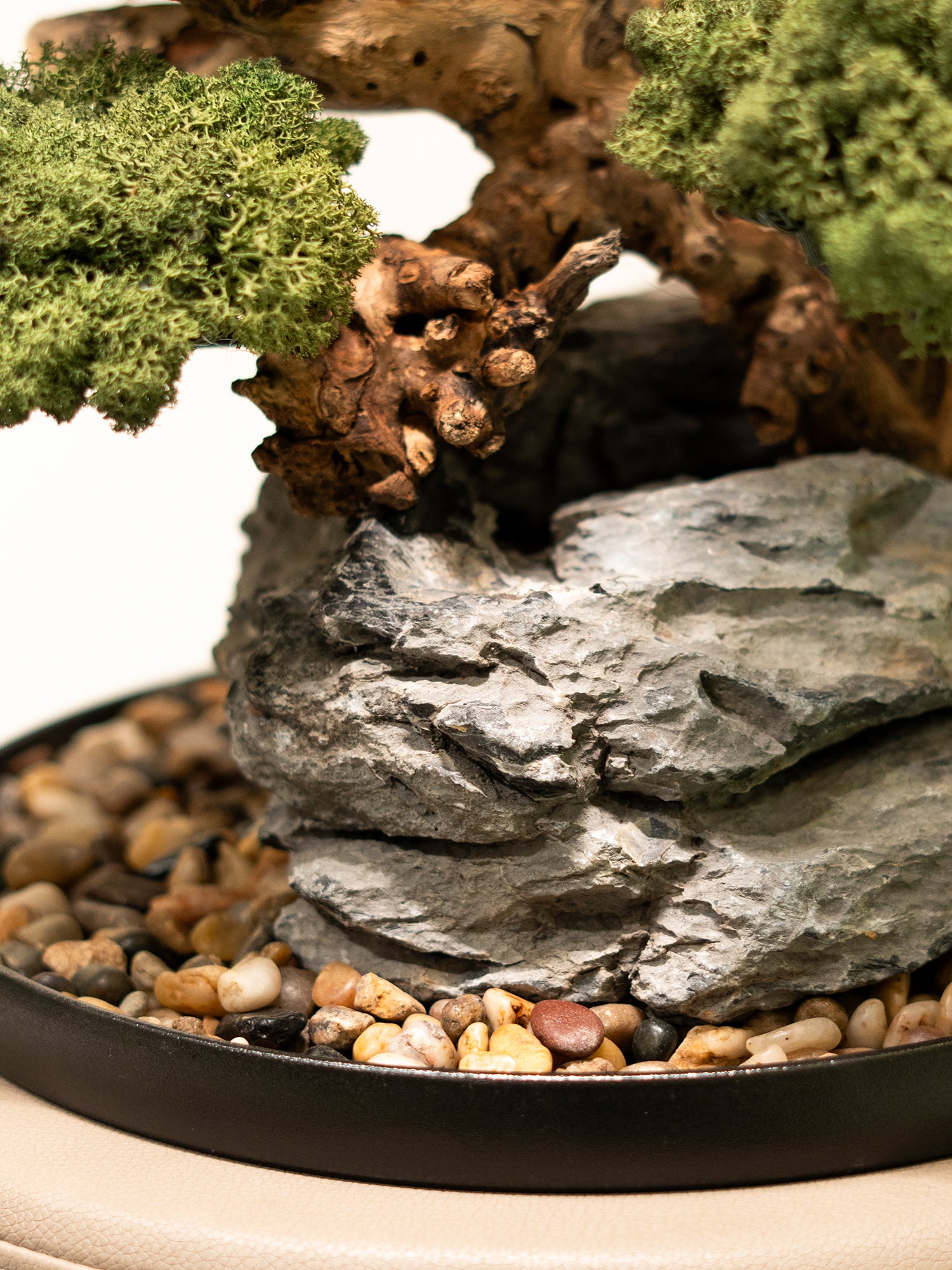 zen-root_5